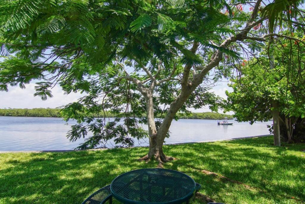 Riverview, Studio 507, Beach Steps Away!+Pool+Wifi Ruskin Ngoại thất bức ảnh
